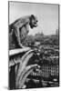 Stone Demon, Notre Dame, Paris, France, C1930S-Donald Mcleish-Mounted Giclee Print