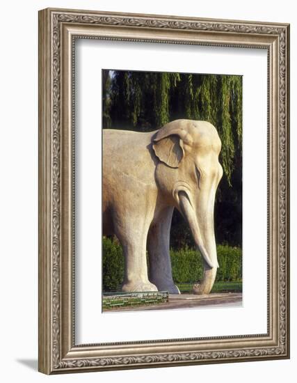 Stone Elephant, Sacred Way, Ming Tombs, Beijing, China-Dallas and John Heaton-Framed Photographic Print