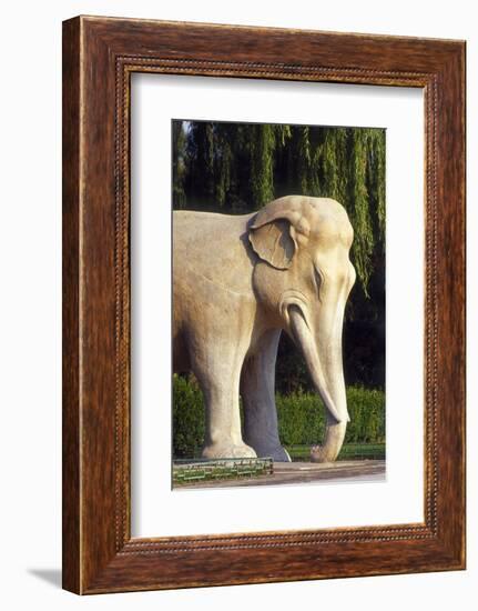 Stone Elephant, Sacred Way, Ming Tombs, Beijing, China-Dallas and John Heaton-Framed Photographic Print