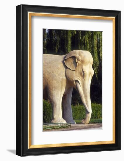 Stone Elephant, Sacred Way, Ming Tombs, Beijing, China-Dallas and John Heaton-Framed Photographic Print