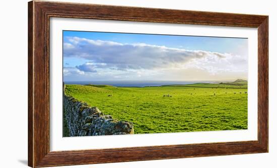 Stone fence along pasture with Sheep grazing, Moray Firth near Brora, Scotland-Panoramic Images-Framed Premium Photographic Print