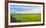 Stone fence along pasture with Sheep grazing, Moray Firth near Brora, Scotland-Panoramic Images-Framed Premium Photographic Print