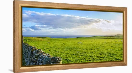 Stone fence along pasture with Sheep grazing, Moray Firth near Brora, Scotland-Panoramic Images-Framed Premier Image Canvas