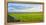 Stone fence along pasture with Sheep grazing, Moray Firth near Brora, Scotland-Panoramic Images-Framed Premier Image Canvas