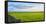 Stone fence along pasture with Sheep grazing, Moray Firth near Brora, Scotland-Panoramic Images-Framed Premier Image Canvas