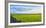 Stone fence along pasture with Sheep grazing, Moray Firth near Brora, Scotland-Panoramic Images-Framed Photographic Print