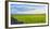 Stone fence along pasture with Sheep grazing, Moray Firth near Brora, Scotland-Panoramic Images-Framed Photographic Print