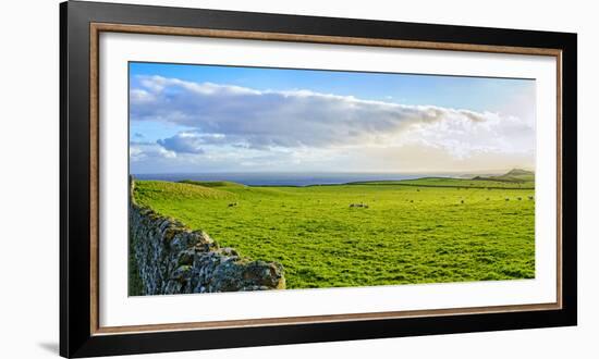 Stone fence along pasture with Sheep grazing, Moray Firth near Brora, Scotland-Panoramic Images-Framed Photographic Print