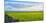 Stone fence along pasture with Sheep grazing, Moray Firth near Brora, Scotland-Panoramic Images-Mounted Photographic Print