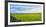 Stone fence along pasture with Sheep grazing, Moray Firth near Brora, Scotland-Panoramic Images-Framed Photographic Print