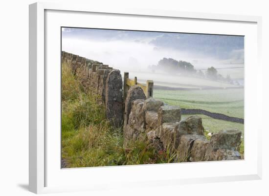 Stone Fence, Burnsall, Yorkshire Dales National Park, Yorkshire, England, United Kingdom, Europe-Miles Ertman-Framed Photographic Print