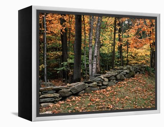 Stone Fence in Vermont, USA-Charles Sleicher-Framed Premier Image Canvas