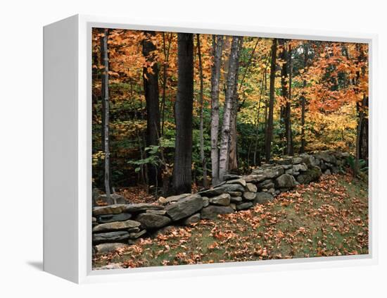 Stone Fence in Vermont, USA-Charles Sleicher-Framed Premier Image Canvas