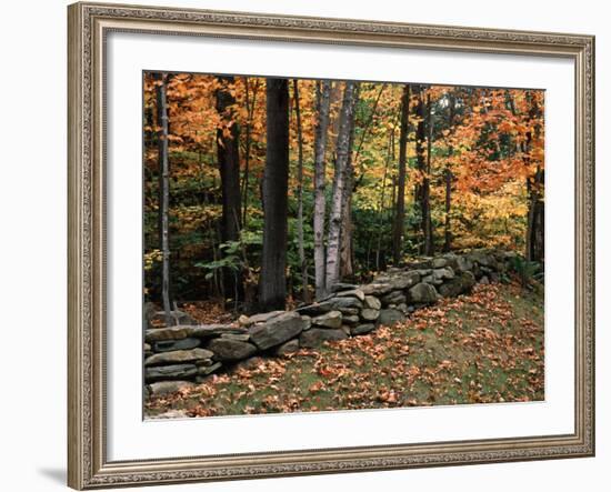 Stone Fence in Vermont, USA-Charles Sleicher-Framed Photographic Print