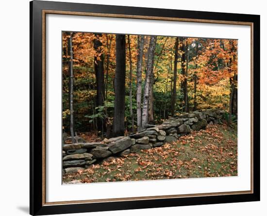 Stone Fence in Vermont, USA-Charles Sleicher-Framed Photographic Print