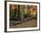 Stone Fence in Vermont, USA-Charles Sleicher-Framed Photographic Print