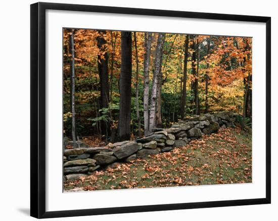 Stone Fence in Vermont, USA-Charles Sleicher-Framed Photographic Print