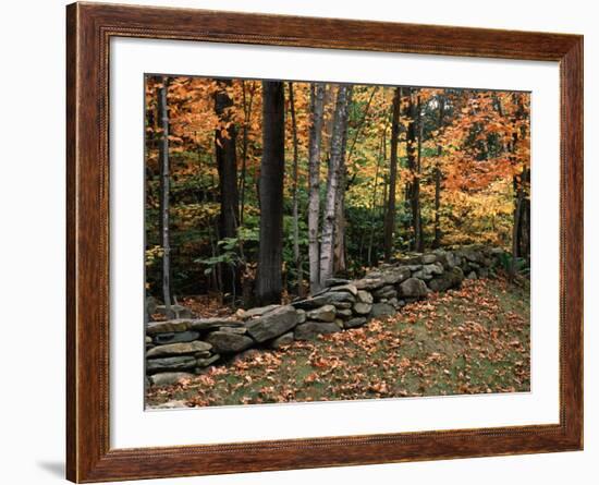 Stone Fence in Vermont, USA-Charles Sleicher-Framed Photographic Print