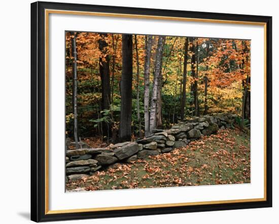 Stone Fence in Vermont, USA-Charles Sleicher-Framed Photographic Print