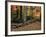 Stone Fence in Vermont, USA-Charles Sleicher-Framed Photographic Print