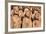 Stone Figures Adorning the West Front of Chartres Cathedral-Julian Elliott-Framed Photographic Print