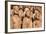 Stone Figures Adorning the West Front of Chartres Cathedral-Julian Elliott-Framed Photographic Print