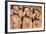 Stone Figures Adorning the West Front of Chartres Cathedral-Julian Elliott-Framed Photographic Print