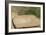 Stone for Grinding Corn Pueblo Bonito, Anasazi/Ancestral Puebloan Site in Chaco Canyon, New Mexico-null-Framed Photographic Print