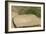 Stone for Grinding Corn Pueblo Bonito, Anasazi/Ancestral Puebloan Site in Chaco Canyon, New Mexico-null-Framed Photographic Print