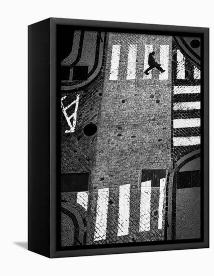 Stone Free-Paulo Abrantes-Framed Premier Image Canvas