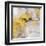 Stone Gardens II Yellow-Silvia Vassileva-Framed Art Print