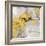 Stone Gardens II Yellow-Silvia Vassileva-Framed Premium Giclee Print