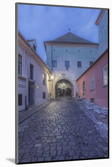 Stone Gate at Dawn-Rob Tilley-Mounted Photographic Print