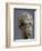 Stone head of Antenociticus, 2nd century BC. Artist: Unknown-Unknown-Framed Giclee Print