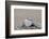 Stone Heart, Lettering, Happy, Copy Space-Andrea Haase-Framed Photographic Print