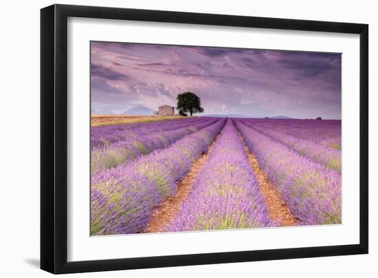 Stone House in Lavender Field-Michael Blanchette-Framed Photographic Print