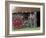 Stone House, Isle of Skye, Scotland-Gavriel Jecan-Framed Photographic Print