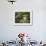 Stone Lantern and Heavenly Falls, Portland Japanese Garden, Oregon, USA-William Sutton-Framed Photographic Print displayed on a wall