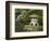 Stone Lantern and Heavenly Falls, Portland Japanese Garden, Oregon, USA-William Sutton-Framed Photographic Print