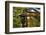 Stone lantern and Torii gate in Fushimi Inari Shrine, Kyoto, Japan-Keren Su-Framed Photographic Print