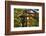 Stone lantern and Torii gate in Fushimi Inari Shrine, Kyoto, Japan-Keren Su-Framed Photographic Print