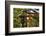 Stone lantern and Torii gate in Fushimi Inari Shrine, Kyoto, Japan-Keren Su-Framed Photographic Print