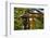 Stone lantern and Torii gate in Fushimi Inari Shrine, Kyoto, Japan-Keren Su-Framed Photographic Print