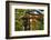 Stone lantern and Torii gate in Fushimi Inari Shrine, Kyoto, Japan-Keren Su-Framed Photographic Print