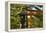 Stone lantern and Torii gate in Fushimi Inari Shrine, Kyoto, Japan-Keren Su-Framed Premier Image Canvas