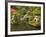 Stone Lantern at Koi Pond at the Portland Japanese Garden, Oregon, USA-William Sutton-Framed Photographic Print