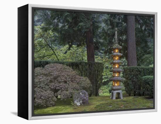 Stone Lantern Illuminated with Candles, Portland Japanese Garden, Oregon, USA-William Sutton-Framed Premier Image Canvas