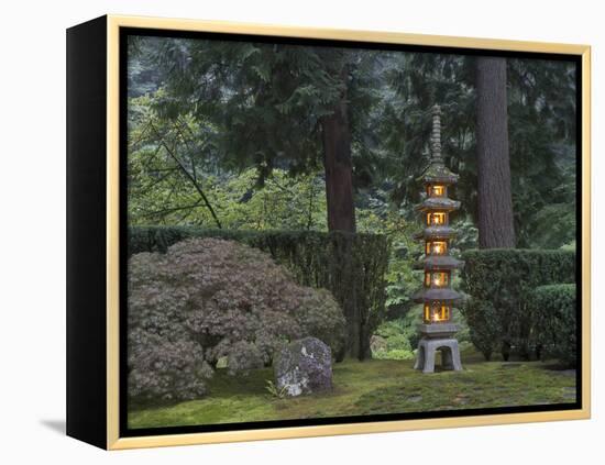 Stone Lantern Illuminated with Candles, Portland Japanese Garden, Oregon, USA-William Sutton-Framed Premier Image Canvas