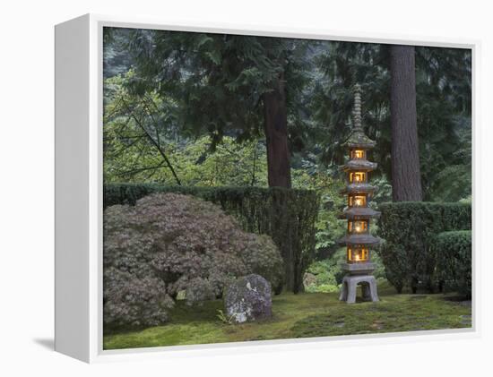 Stone Lantern Illuminated with Candles, Portland Japanese Garden, Oregon, USA-William Sutton-Framed Premier Image Canvas