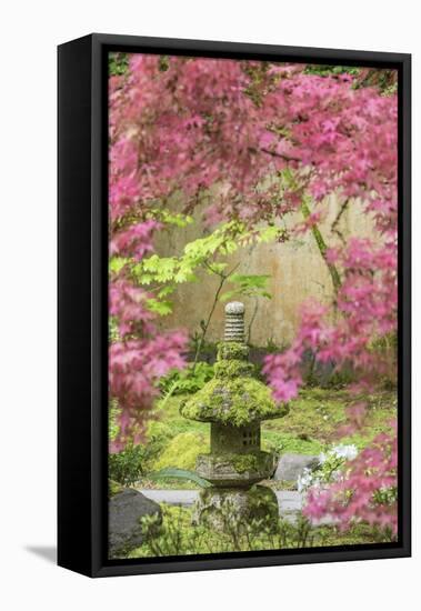 Stone lantern, Portland Japanese Garden, Oregon.-William Sutton-Framed Premier Image Canvas